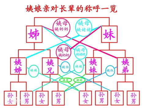 家庭關係圖|親戚關係圖